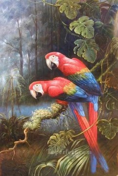 dw085bD 動物 鳥 Oil Paintings